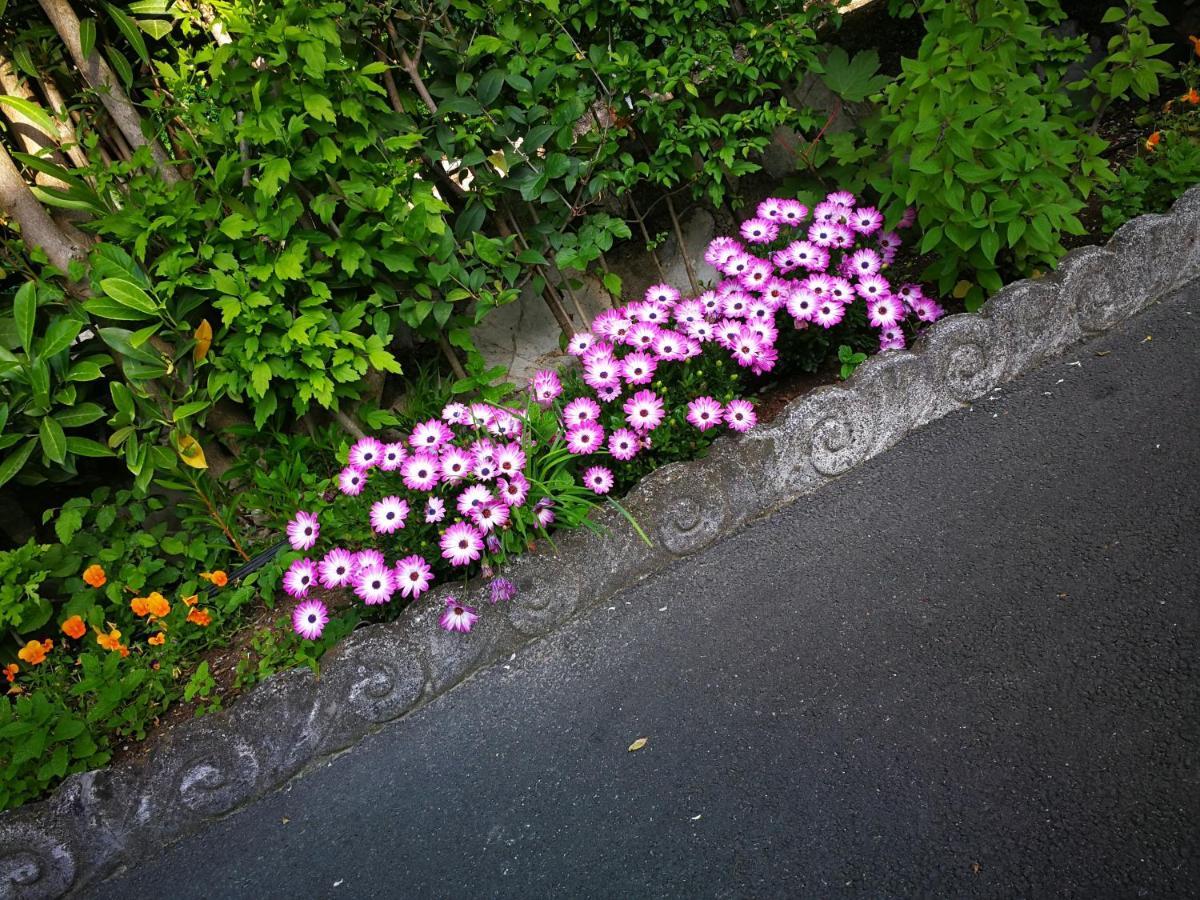 Camping Pilzone Hotel Iseo Exterior photo